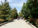 گزارش تصویری از همایش پیاده روی کارکنان در 22 اردیبهشت ماه 